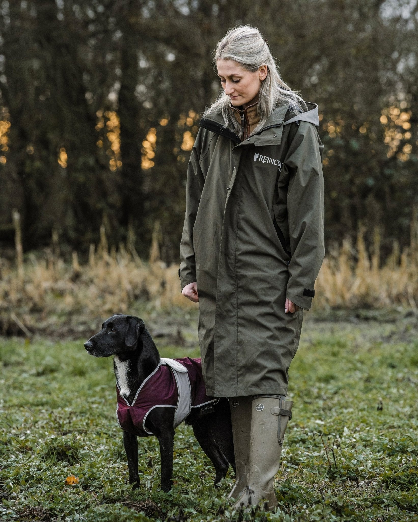Reincoat Dog - Burgundy - Reincoat