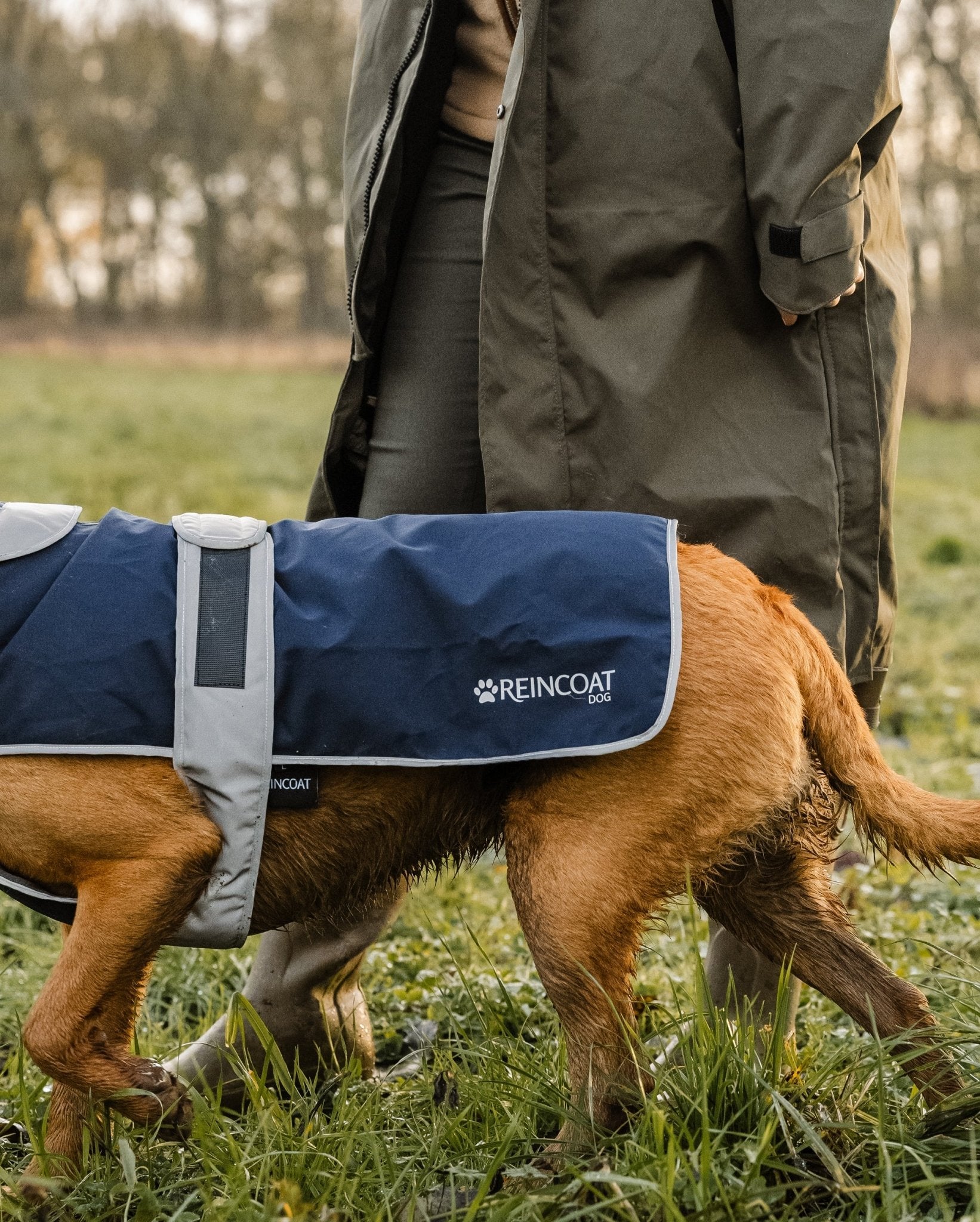 Reincoat Dog - Navy - Reincoat