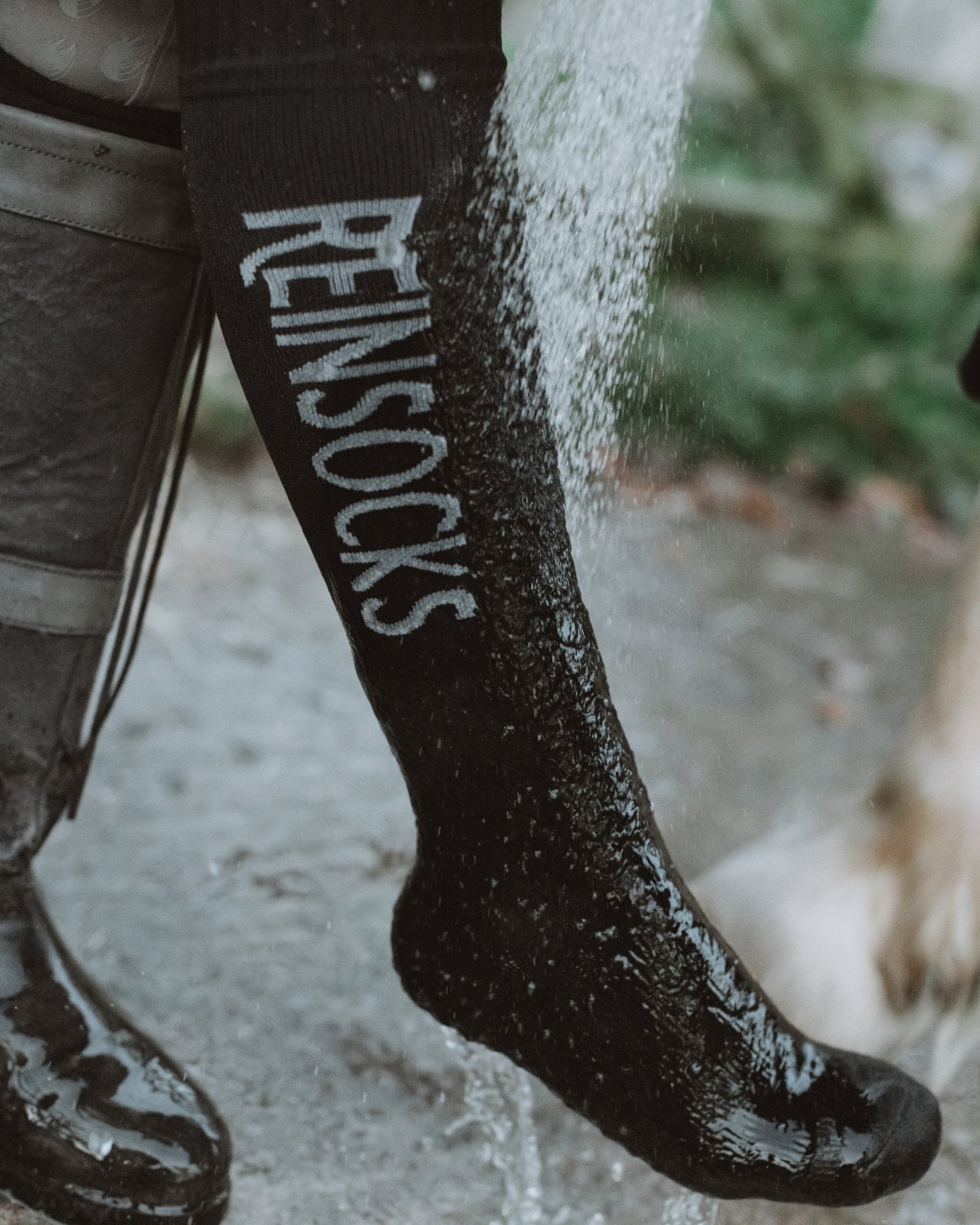 Reinsocks - Black - Reincoat